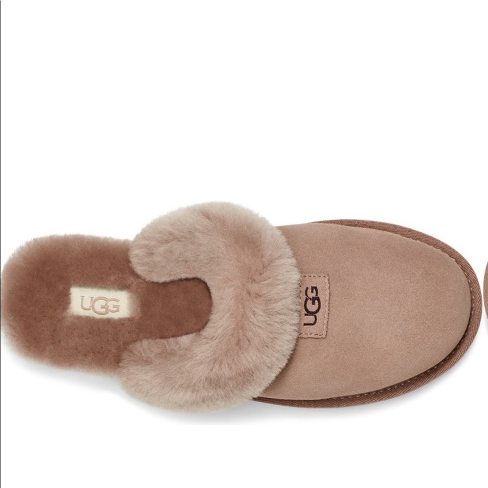 NWB UGG genuine shearling cozy suede slipper runs large - Picture 4 of 9